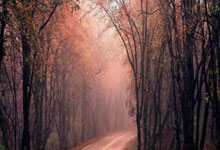 开云体育下载-平行时空的绿茵神话：当皇马在世界杯决赛登顶巴萨