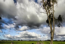 开云体育官方网站-雪夜烽烟散：俄罗斯冰堡坍塌之夜，波兰铁骑踏碎的不只是比分