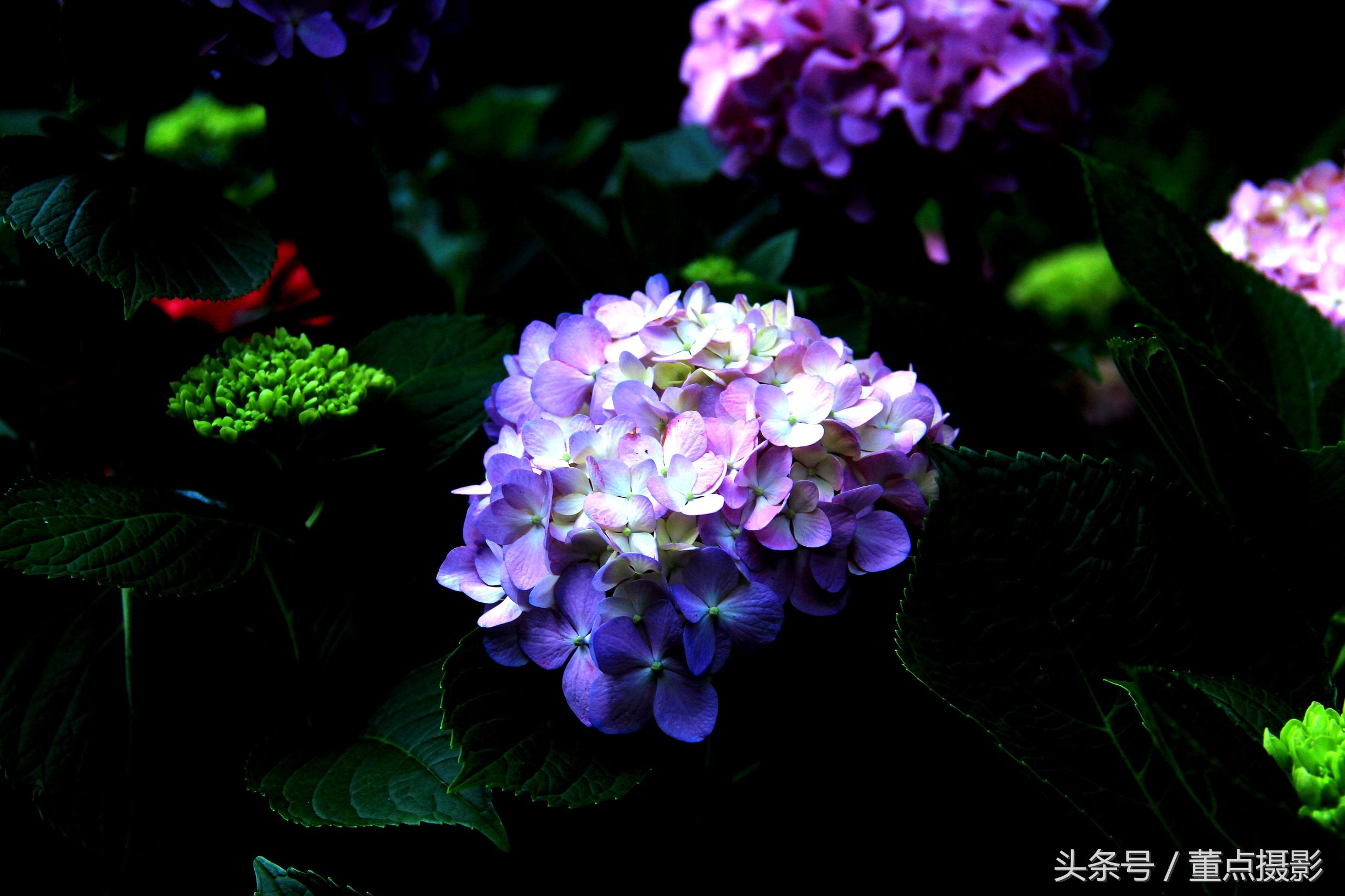 开云体育APP下载-甘冈连胜喜上眉梢，欲升至前十的简单介绍