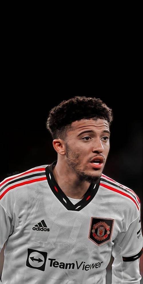 关于谢尔迪莱纳主场战平,积分榜位置不变的信息 关于谢尔迪莱纳主场战平,积分榜位置不变的信息