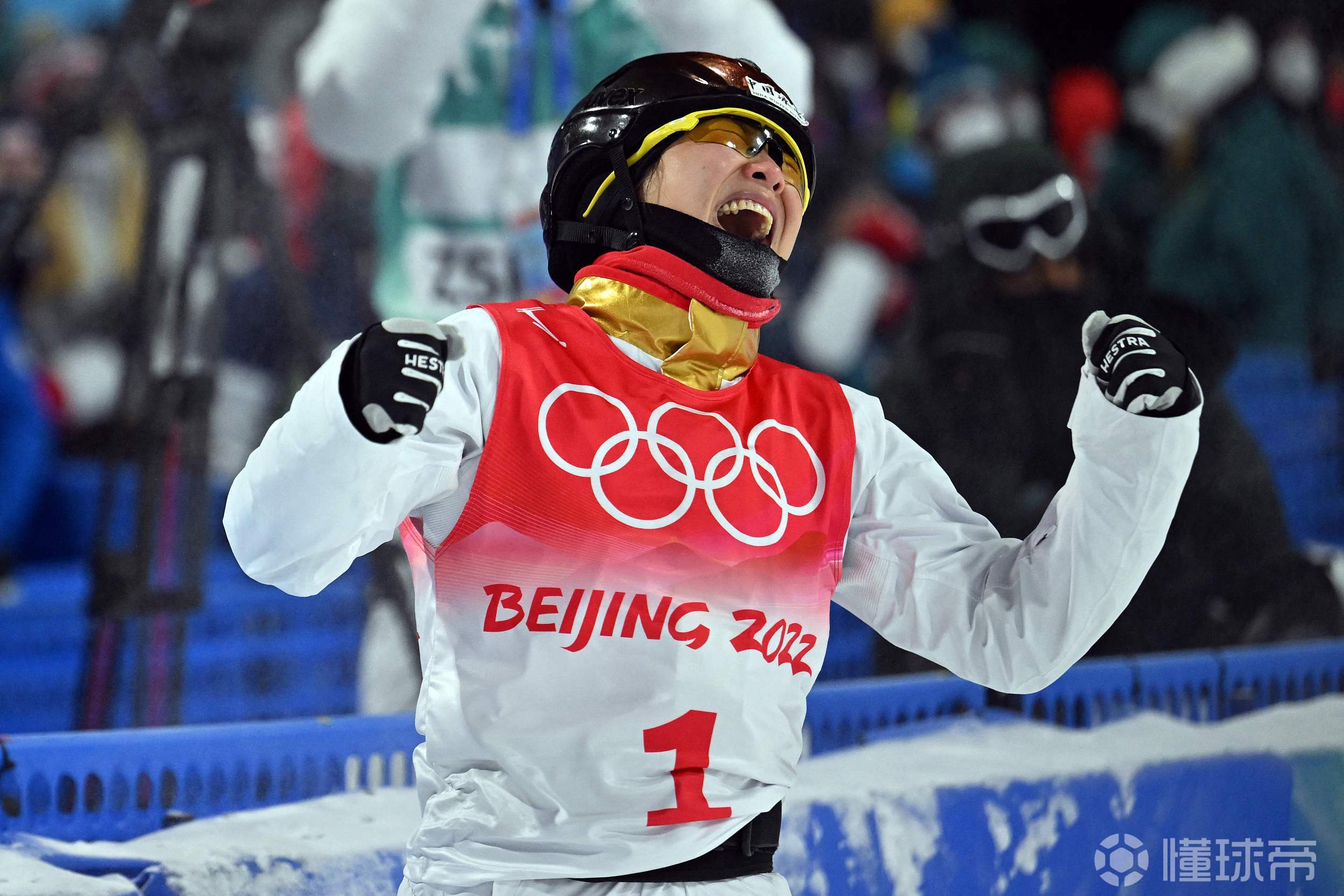 斯德哥尔摩男将勇夺金牌，英雄赞誉不绝于耳的简单介绍