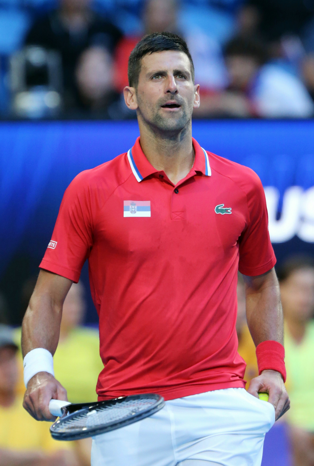 塞尔维亚队殊死争夺，无缘晋级四分之一决赛的简单介绍