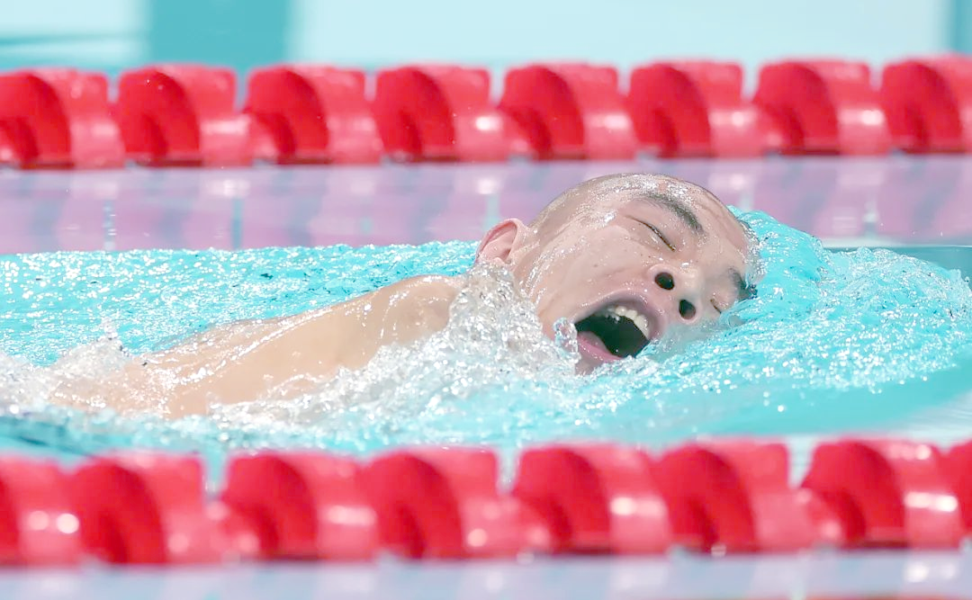 开云官方app入口-选手用实力征服赛场，书写辉煌、感动世界的简单介绍