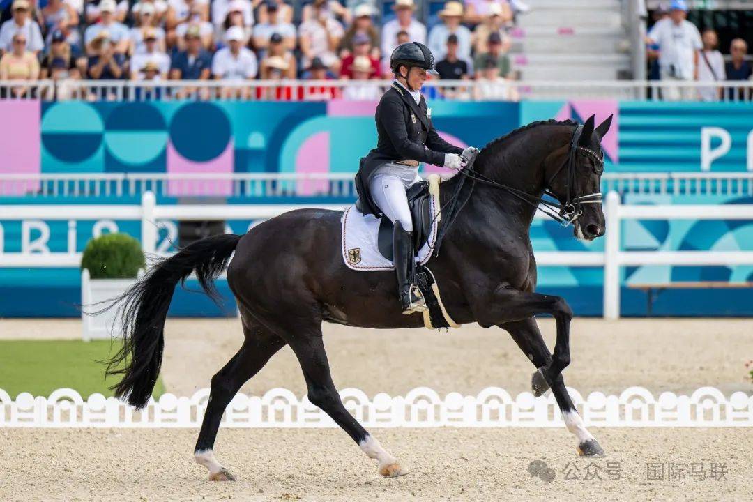 开云下载-莱比锡摔跤锦标赛亚洲拳王季军登顶