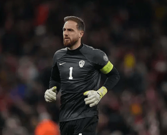 斯洛文尼亚欧预赛连胜,死磕晋级 斯洛文尼亚欧预赛连胜,死磕晋级